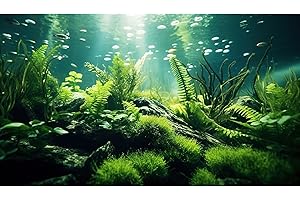 RIIVVDISE Underwater Fish Tank Background Under The Sea Aquatic Plants Aquarium Background Ocean Floor Rock Terrarium Backgrounds Tropical Fish Green Seaweeds Aquarium Backgrounds for Fish Tank Decor 24x12in