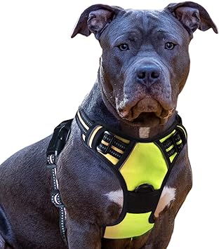 Another Open Shoulder Front Attach Harness Option Perfect Fit Harness Dog Gear Perfect Fit Harness