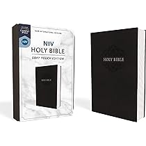 NIV, Holy Bible, Soft Touch Edition, Leathersoft, Brown, Comfort