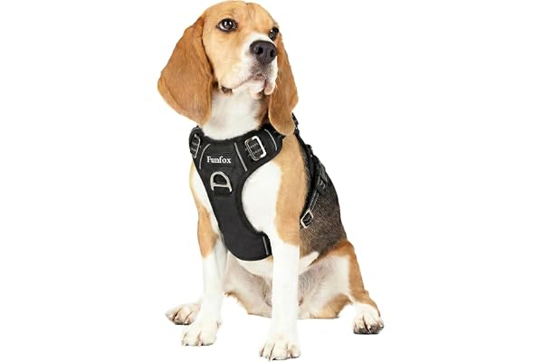 Funfox Dog Harness No Pull, Vertical Handle Easy Control with 2 Leash Clips, Adjustable Anti Pull Pet Vest Harness, Reflectiv