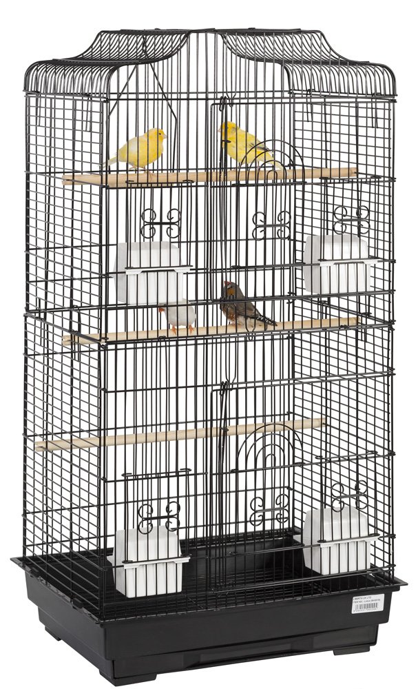 Watch The Big Bird Cage HD 1080P