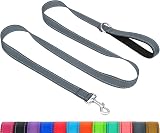 Taglory Dog Leash for Medium Large Dogs Reflective Padded Handle 2.5 cm x 180