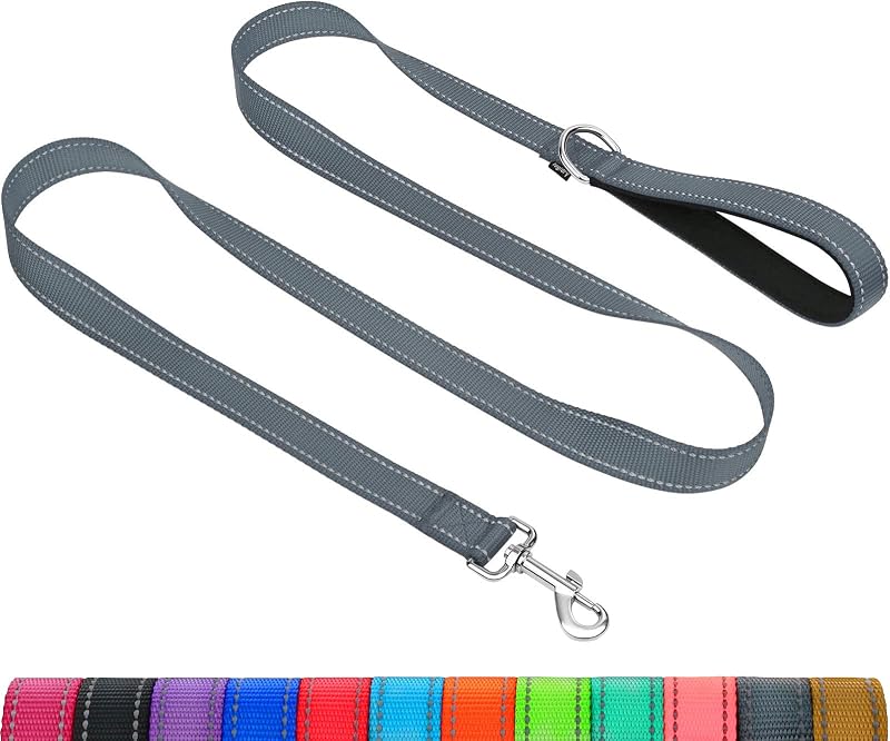 Taglory Dog Leash for Medium Large Dogs Reflective Padded Handle 2.5 cm x 180