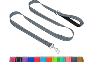 Taglory Dog Leash for Small Dogs | Double-Sided Reflective | Soft Neoprene Padded Handle | 3/4 inch by 6 ft | Fit Small Medium Large Breeds Dogs Under 20lbs | Grey