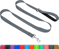 Taglory Dog Leash for Medium Large
