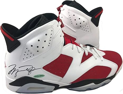 michael jordan shoes size