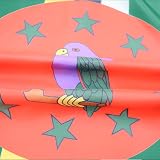 AZ FLAG Dominica Flag 3x5 ft 100D Polyester with 2 Metal Grommets view 3