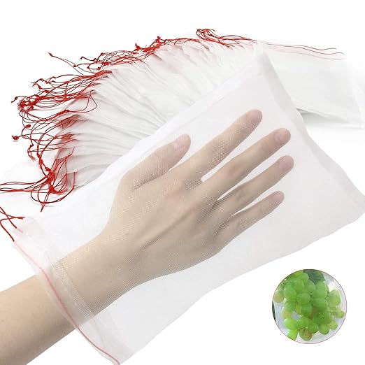 Feitore 100 Bolsas de protección de Frutas, 10 x 6 Pulgadas ...