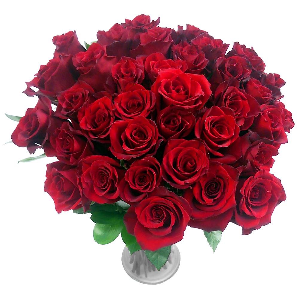 Clare Florist Obsession 36 Red Rose Fresh Flower Bouquet - Fresh Roses Perfect for Valentine's Day, Birthdays, and Anniversaries
