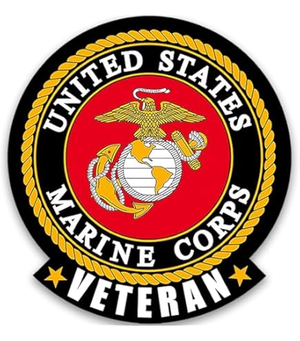 US Army, 010TH Da Bambino Div Patriottico Patch, Ricamato Ferro Su - Foto 8