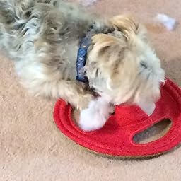 hartz tuff stuff flyer