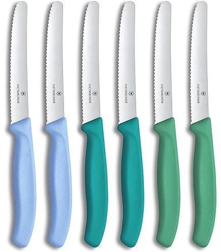 Amazon.com: Victorinox Swiss Classic, Tomato & Steak Knife Set, 6