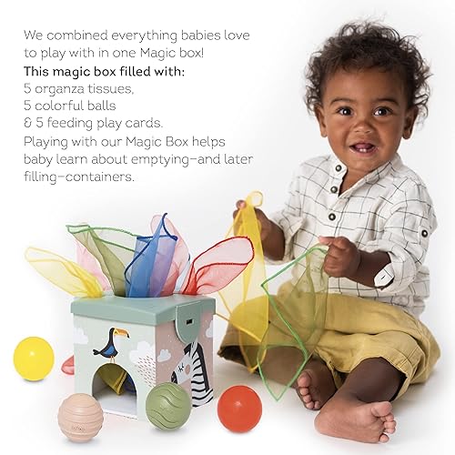 Taf Toys Sensory Baby Tissue Box, Object Permanence Box, Imaginary