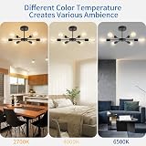 ANWIO 6 Light E27 Sputnik Ceiling Pendant Black Metal Chandelier view 3
