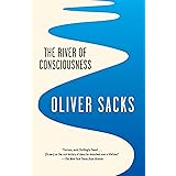 The River of Consciousness