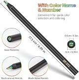 Maqhpu 24 Pieces Rainbow Pencils Kids Art Supplies Color Pencils Gift view 4