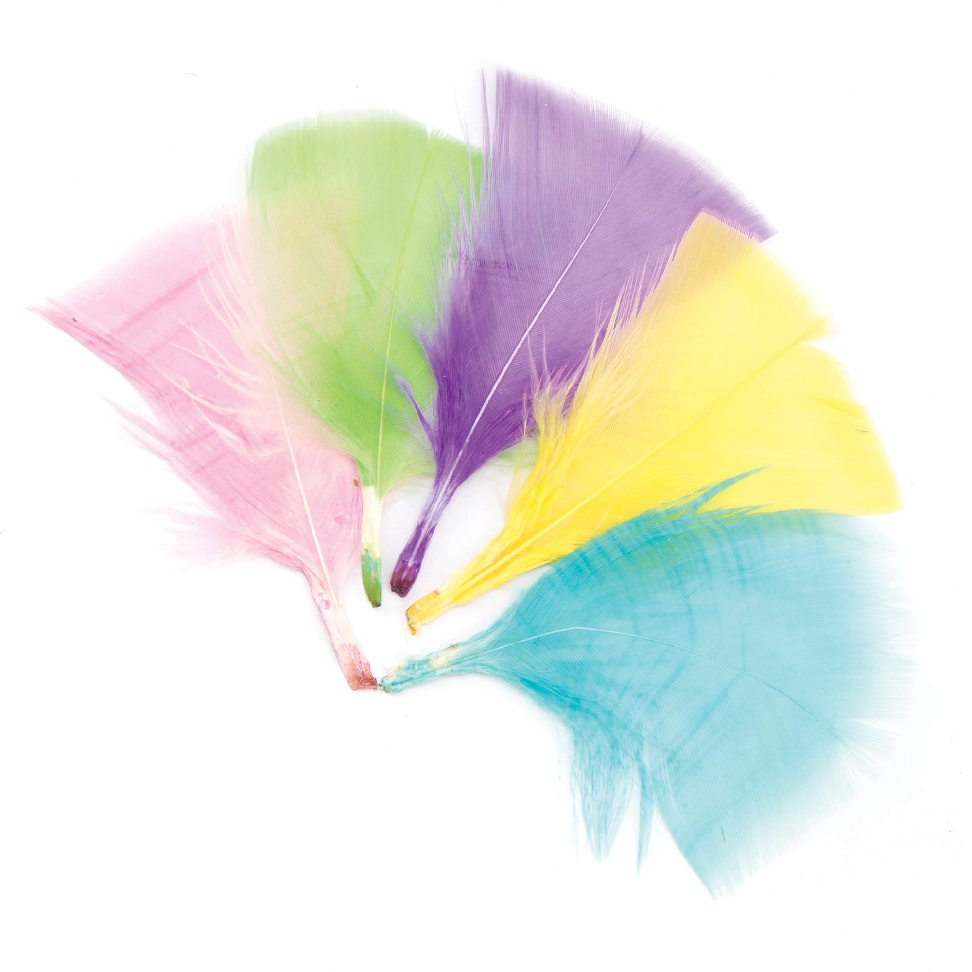 Baker Ross AR259 Pastel Craft Feathers (Pack of 120) for Kids' Creative Art Supplies & Decorations, Assorted, 120 Count (Pack of 1)