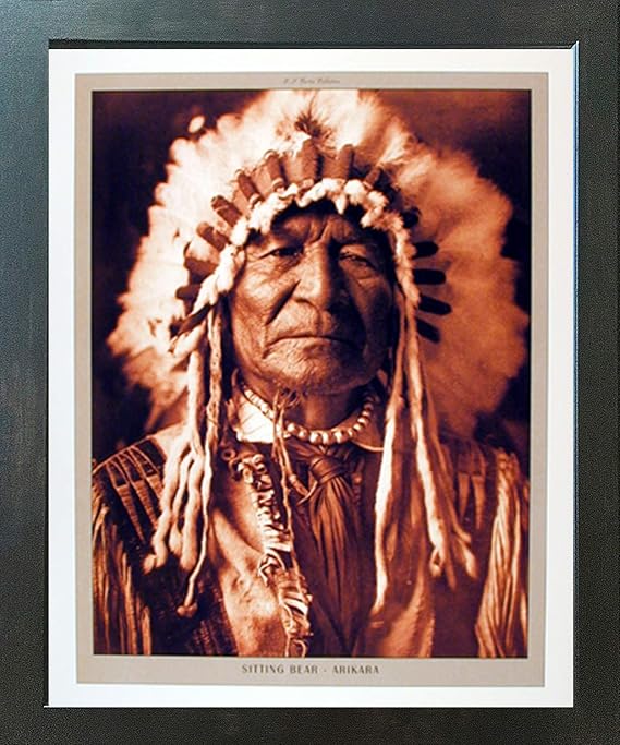 Framed Wall Decor Native American Poster