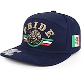 Trendy Apparel Shop 3D Mexico Pride Embroidered Flatbill Snapback Cap