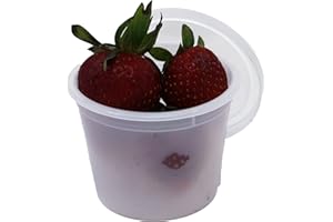 OAKRIDGE PRODUCTS Vito's famous Deli Container with Lid, 4 Ounce (Pack 50)