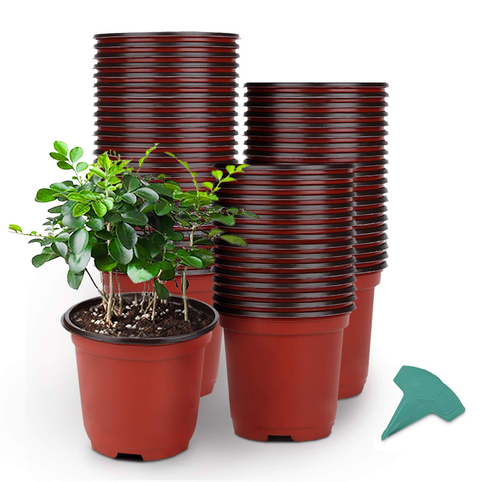 GROWNEER 120 Packs 4 Inches Plastic Plant Nursery Pots with 15 Pcs Plant Labels, Seed Starting Pot Flower Plant Container for Succulents, Seedlings, Cuttings, Transplanting