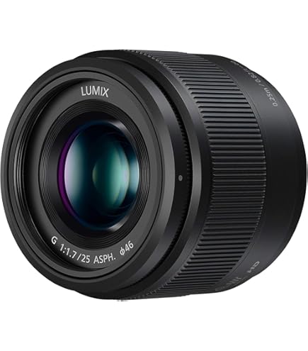 Amazon.com : Panasonic Lumix 25mm F1.7 | H-H025E-K Prime Lens