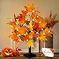 [Timer & USB/Battery Operated] CKE 24" Artificial Fall Lighted Maple Tree, 24 LED Thanksgiving Decorations Table Light Artificial Tree for Autumn Harvest Home Decor Wedding Party Gifts Indoor Outdoor