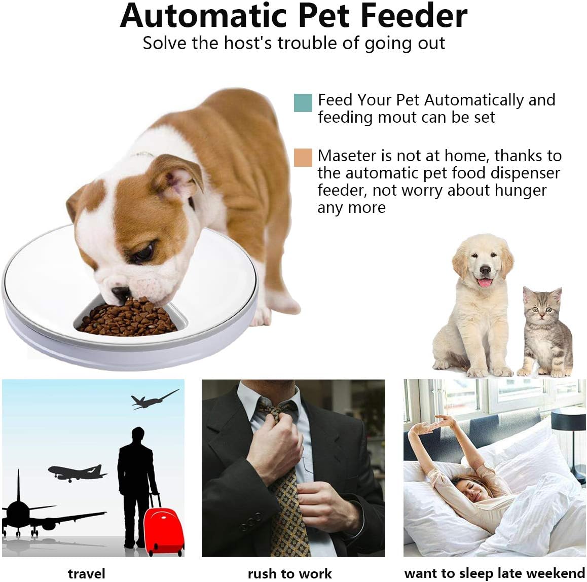 Pet Supplies : 4pawslife 6 Meal Automatic Pet Feeder Food Dispenser with Digital Timer and Music Broadcast for Cats and Dogs : 