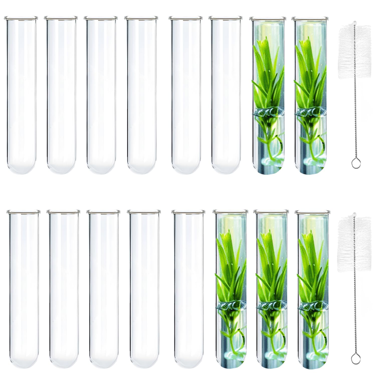 Photo 1 of 15Pcs Glass Tubes for Plants, Plant Propagation Tube Acrylic Test Tubes for Scientific Experiments 30 ml Plastic Test Tubes for Hydroponic Plants, Home Office Wall Decor (12cm)