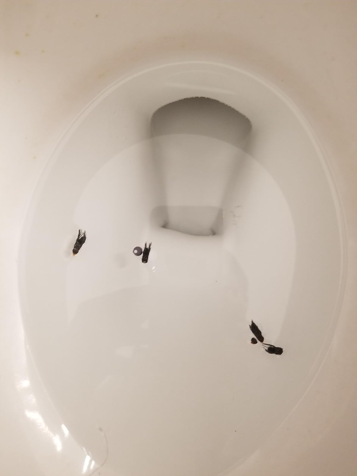 User review photo
