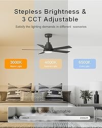 CubiCubi Ceiling Fan, 42" Black Ceiling Fans with