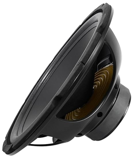 coustic 12 inch subwoofer