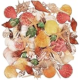 Jangostor 100PCS Sea Shells 15 Kinds Mixed Ocean Beach Seashells-Natural Colorful Seashells Starfish Perfect for Vase Fillers