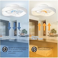 DLLT 20'' Flush Mount Ceiling Fan with Led Light