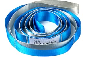 ADALT LION Stretching Strap with 10 Loops, Yoga Straps for Stretching Physical Therapy Equipment, Non-elastic Stretch Strap for Exercise, Pilates, Dance, Gymnastics and Flexibility - Fascia