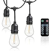 Newhouse Lighting LED String Lights with Weatherproof Technology, Dimmable with Wireless Remote Control, 48ft and 16 (15+1 Free) LED Light Bulbs Included, Black (CSTRINGLEDDIM)