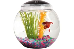 SW PRODUCTS 1-Gallon Globe Fish Tank with LED Lighting (7 Color Selections), Impact-Resistant Plastic