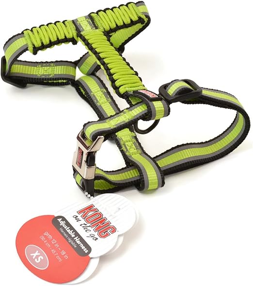 kong paracord harness