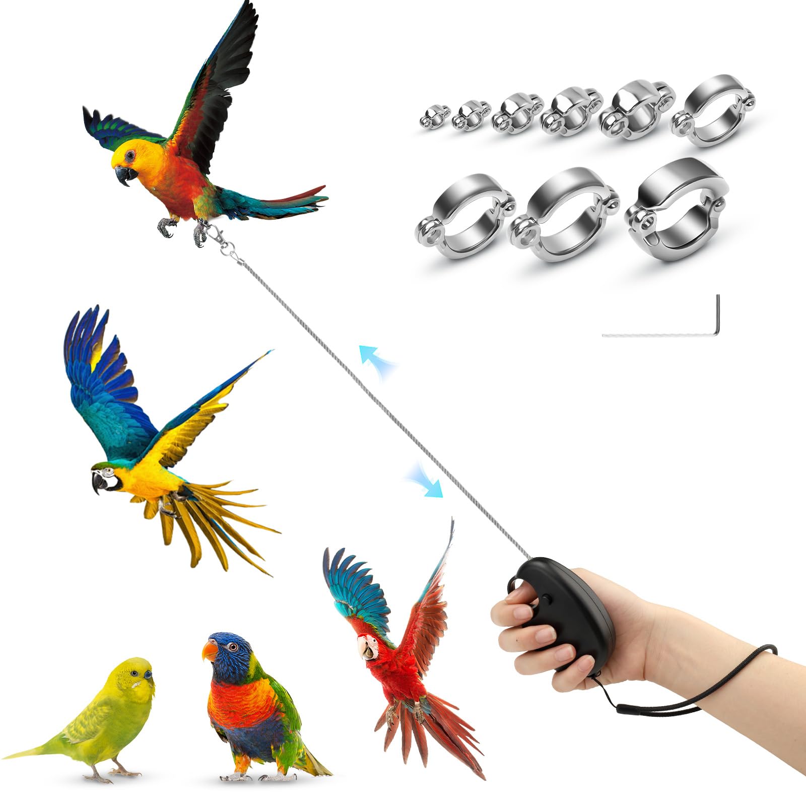 Realand 6m Auto Retractable Bird Leash, Anti-Bite Wire Bird Harness Leash with 9 Sizes Alloy Foot Rings, Adjustable Parrot Conure Cockatiel Parakeet Flying Training Rope