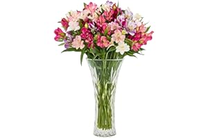 Aquarossa Farms – Flowers for Delivery, Fresh Flowers Bouquet, Handpicked from the Farm, Gift for Birthday, Anniversary, or Just Because – 24 Stem Peruvian Lilies