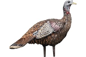 AVIAN-X LCD Lookout Hen Turkey Decoy | Durable Realistic Lifelike Collapsible Standing Hunting Decoy with Carry Bag & Stake, AVX8006