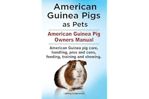 American Guinea Pigs as Pets. American Guinea Pig Owners Manual. American Guinea pig care, handling, pros and cons, feeding, training and showing.
