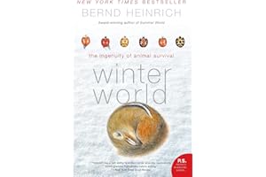 Winter World: The Ingenuity of Animal Survival