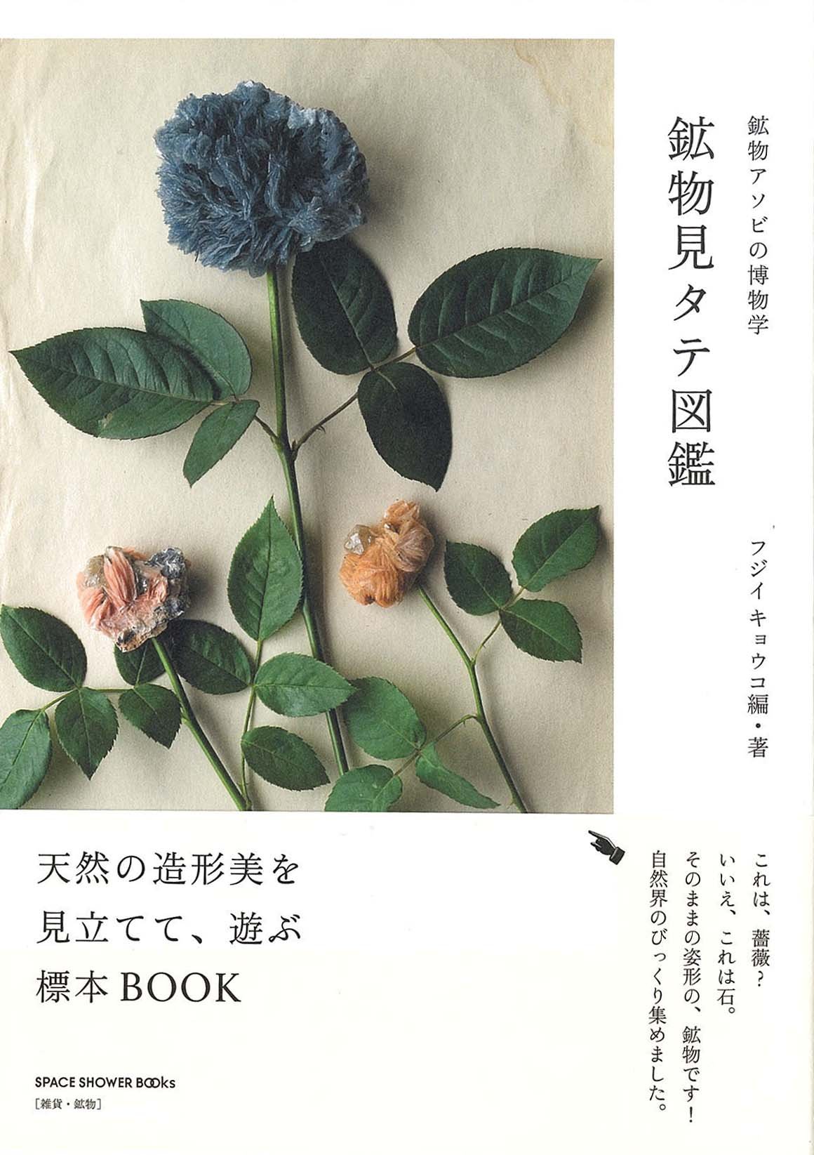 鉱物見タテ図鑑 鉱物アソビの博物学 Space Shower Books フジイキョウコ 写真 大沼ショージ 本 通販 Amazon