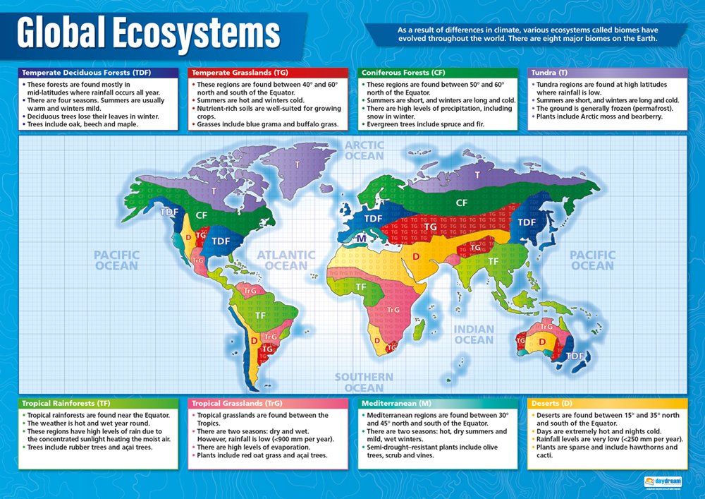 Daydream Education Global Ecosystems | Geography Posters | Laminated Gloss Paper measuring 850mm x 594mm (A1) | Geography Classroom Posters | Education Charts