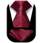 HISDERN Ties for Men Paisley Floral Tie Handkerchief Classic Woven Business Formal Necktie and Pocket Square Set Wedding