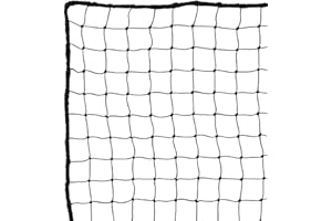 RinkMaster Protective Backstop Sports Netting - for Backyard Hockey, Baseball, and Soccer Practice (10' x 10')