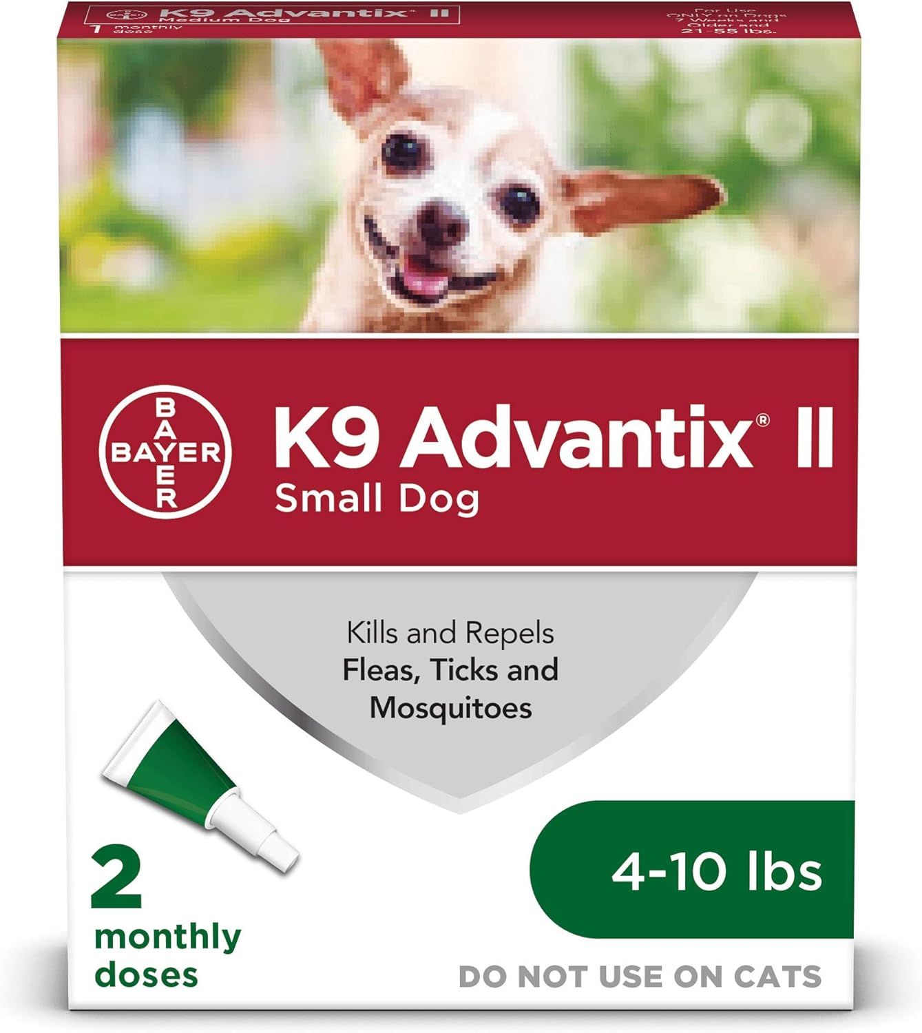 african dog breeds basenji