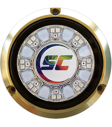 SEAPALEX600 NEO 300W×2 Amazon.com: Lumitec SeaBlazeX2 Underwater LED Light - 6000