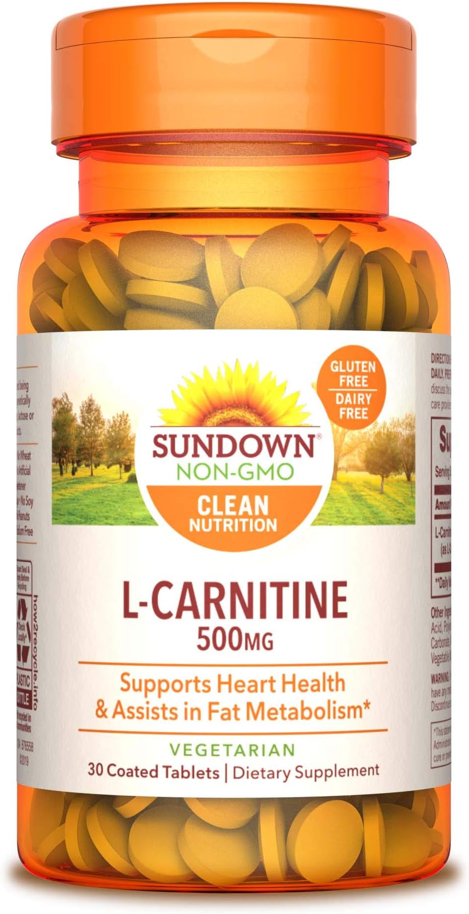 L-Carnitine, 500 mg, 30 Tablets
